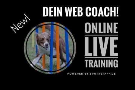 WEB-Coach_sportstaff_kl