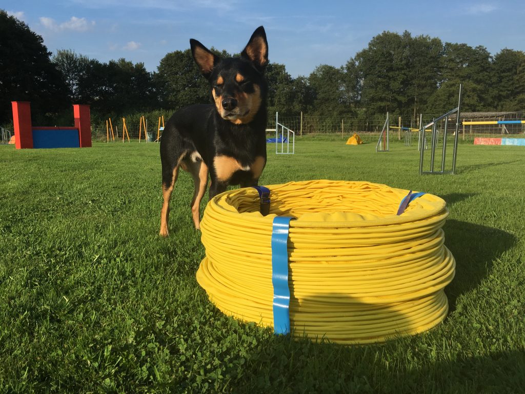 Agility Tunnel, Hundetunnel, Full Grip Tunnel, Antislip Tunnel